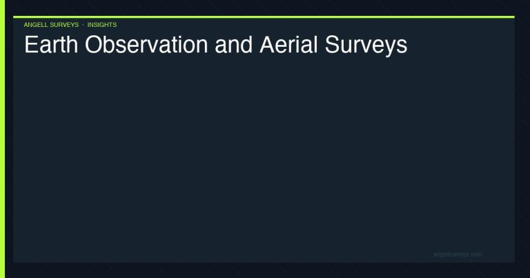 Earth observation and aerial surveys — satellite and drone data